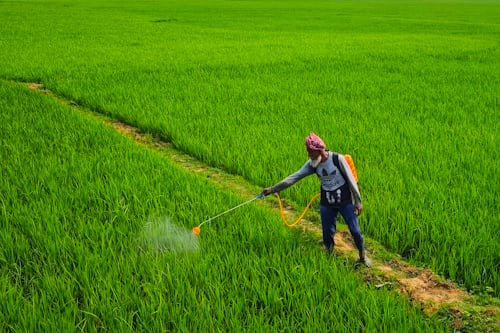 Pest Control Services in Ahmedabad — Homes & Business